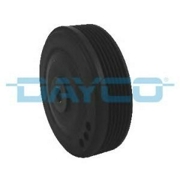 Dayco DPV1069