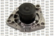 Hepu P1089