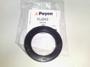 Payen NJ242