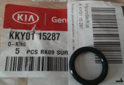 Hyundai-KIA KKY0115287