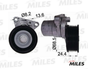 Miles AG00294