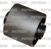 PATRON PSE10234