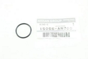 NISSAN 15066AN200