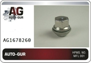 Auto-GUR AG1678260