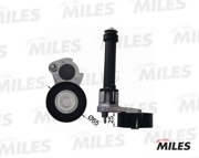 Miles AG00307