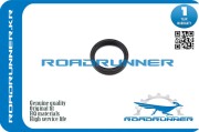 ROADRUNNER RR135102J200