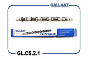 Gallant GLCS21