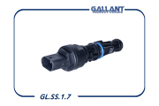 Gallant G * * * 7