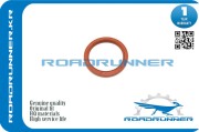 ROADRUNNER RR0928368001