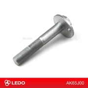 LEDO AK65J00