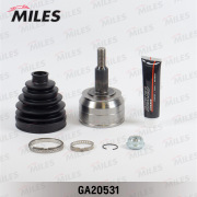 Miles GA20531