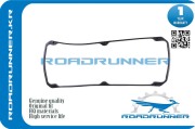 ROADRUNNER RRMD310913