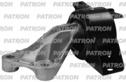 PATRON PSE30629