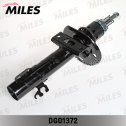 Miles DG01372