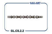 Gallant GLCS22