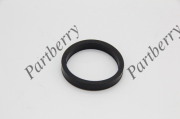 PARTBERRY PB132880