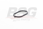 BSG AUTO PARTS BSG90116005