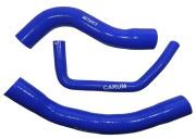 CARUM IL1351PK