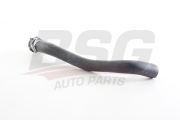 BSG AUTO PARTS BSG30720119