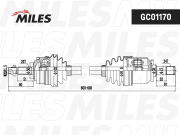 Miles GC01170